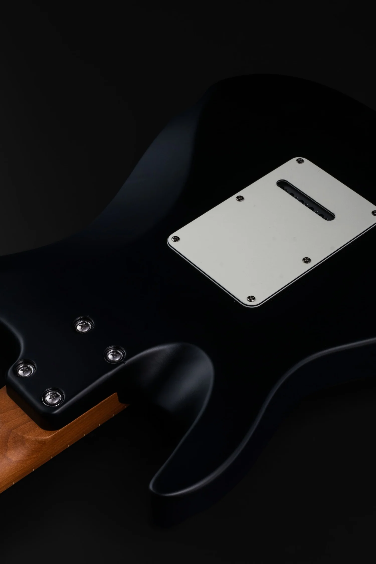 Eart Guitars Handmade Lacquer Art-Collector's Edition 24071406 - Image 6
