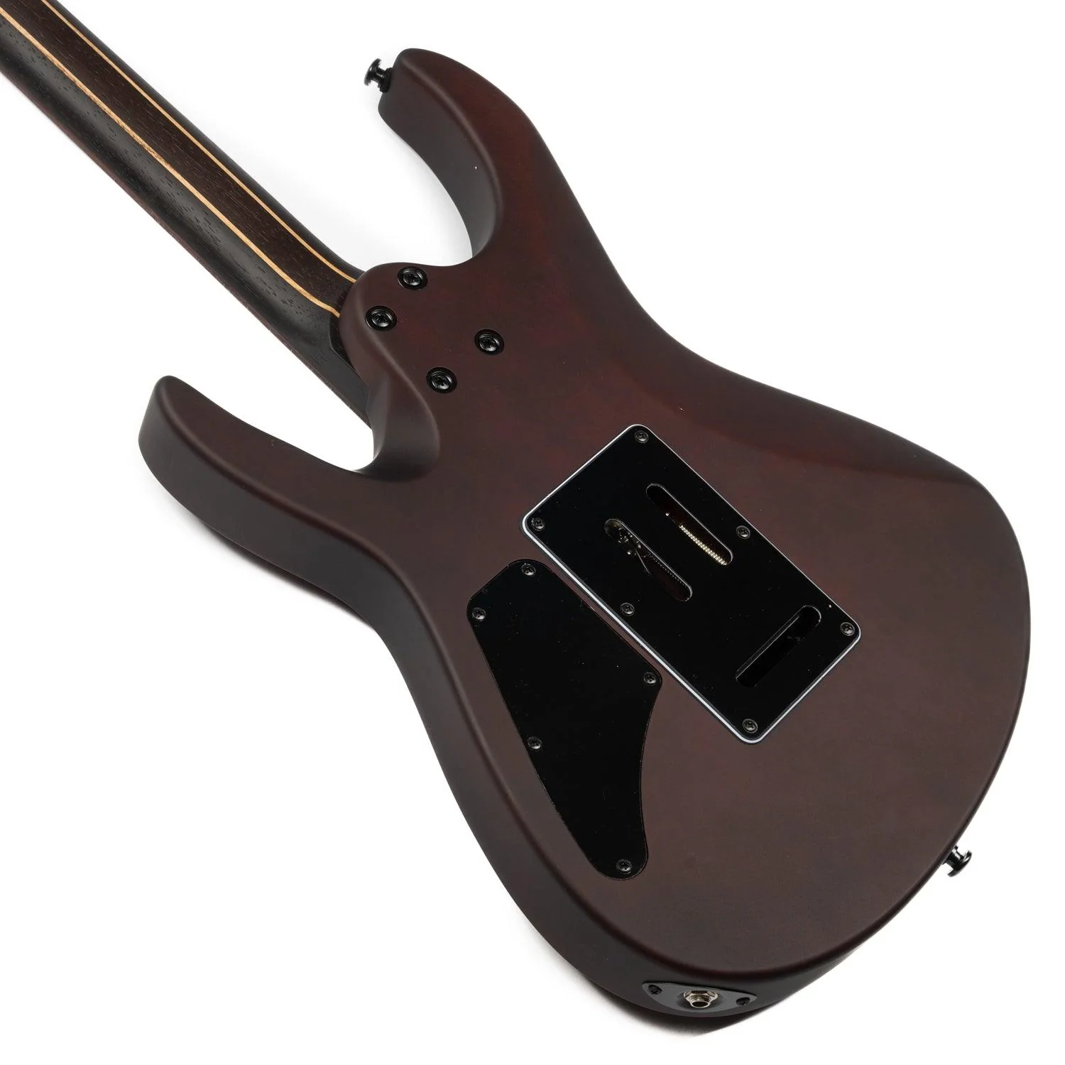 Eart Guitars, EXP-H6-ULTRA 6 Strings Tremolo Electric Guitar, Roasted Bookmatch Mahogany+Poplar Burl Body, Honey Burst - Image 6